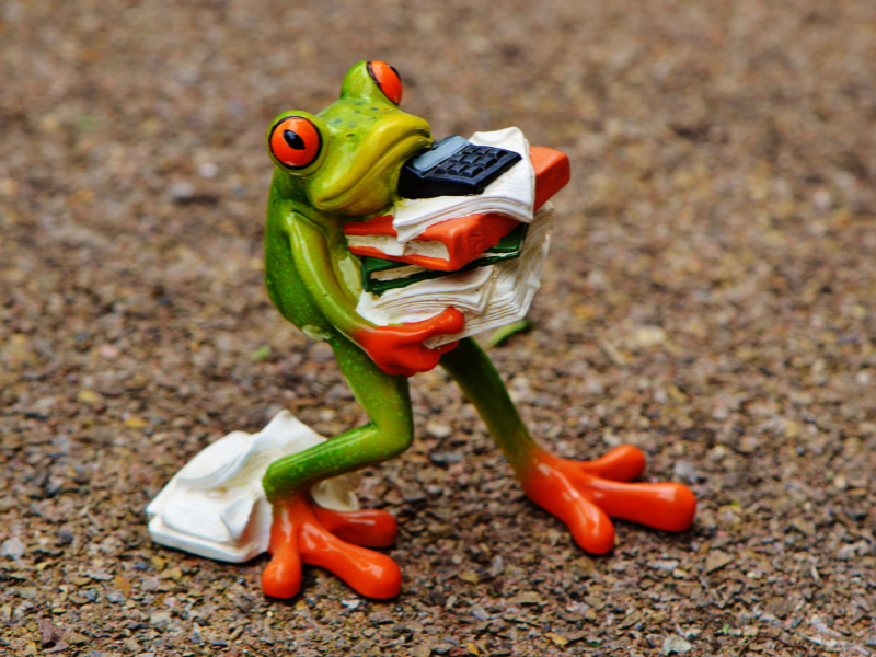 Swallow the Frog for Time Management
